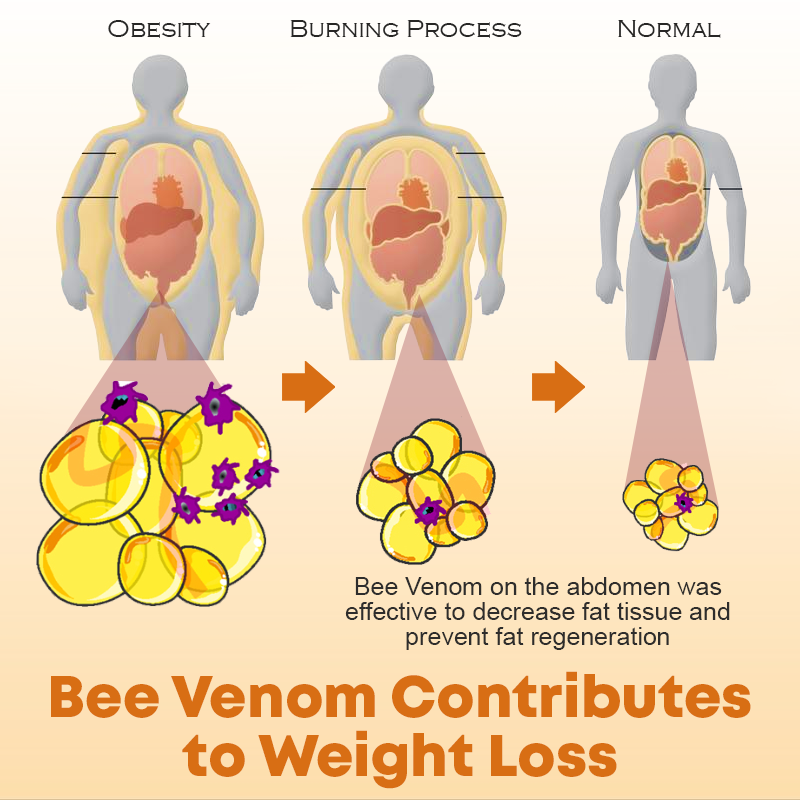 Bee Venom HydraFirm Retinol Bar