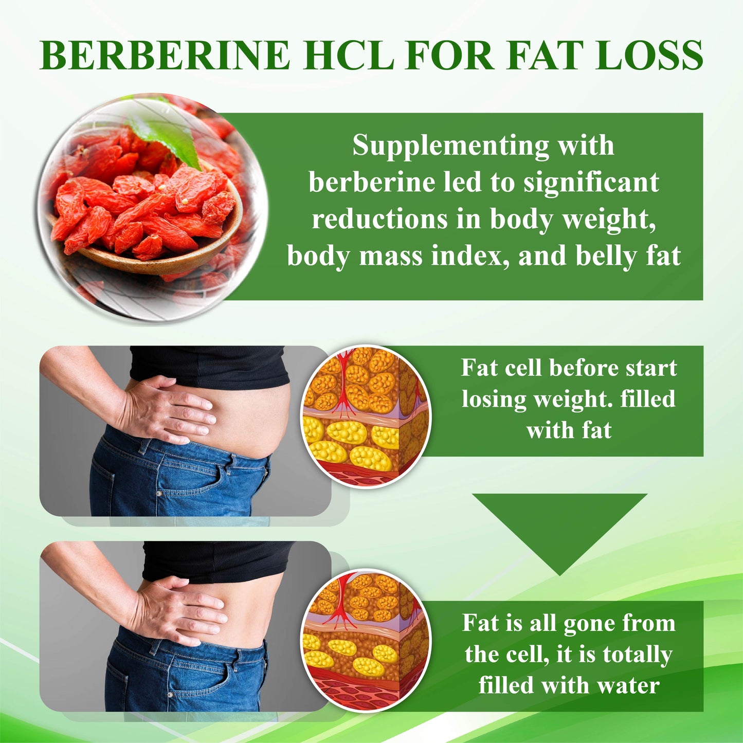 ATTDX™ Berberine HCL 500mg LipidBurn Capsules
