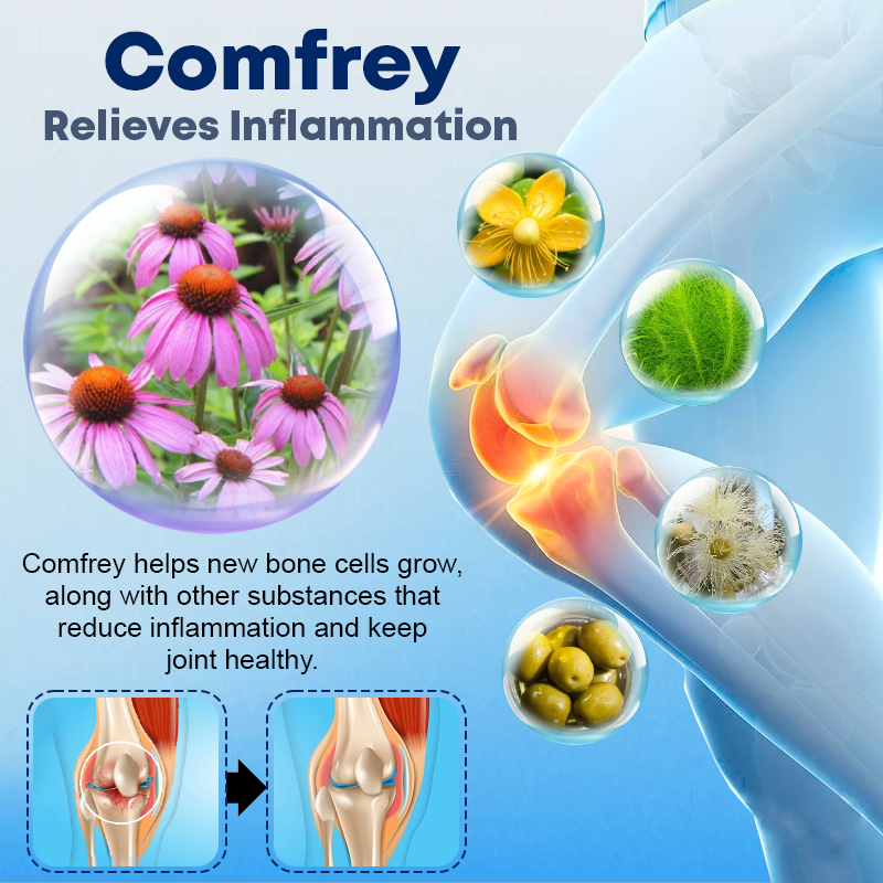 Comfrey FlexRelief Herbal Pill 2