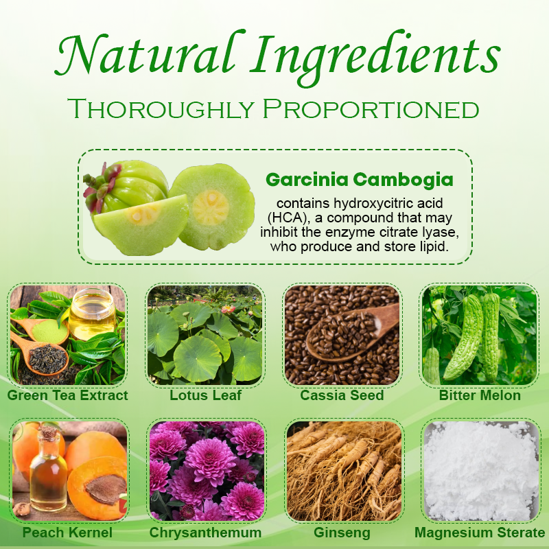 Garcinia HCA LipidShred Capsules 2