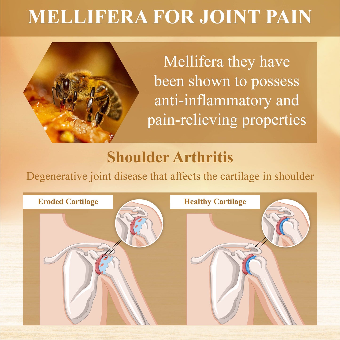 ATTDX™ Joint Soothe Mellifera Venom Bar