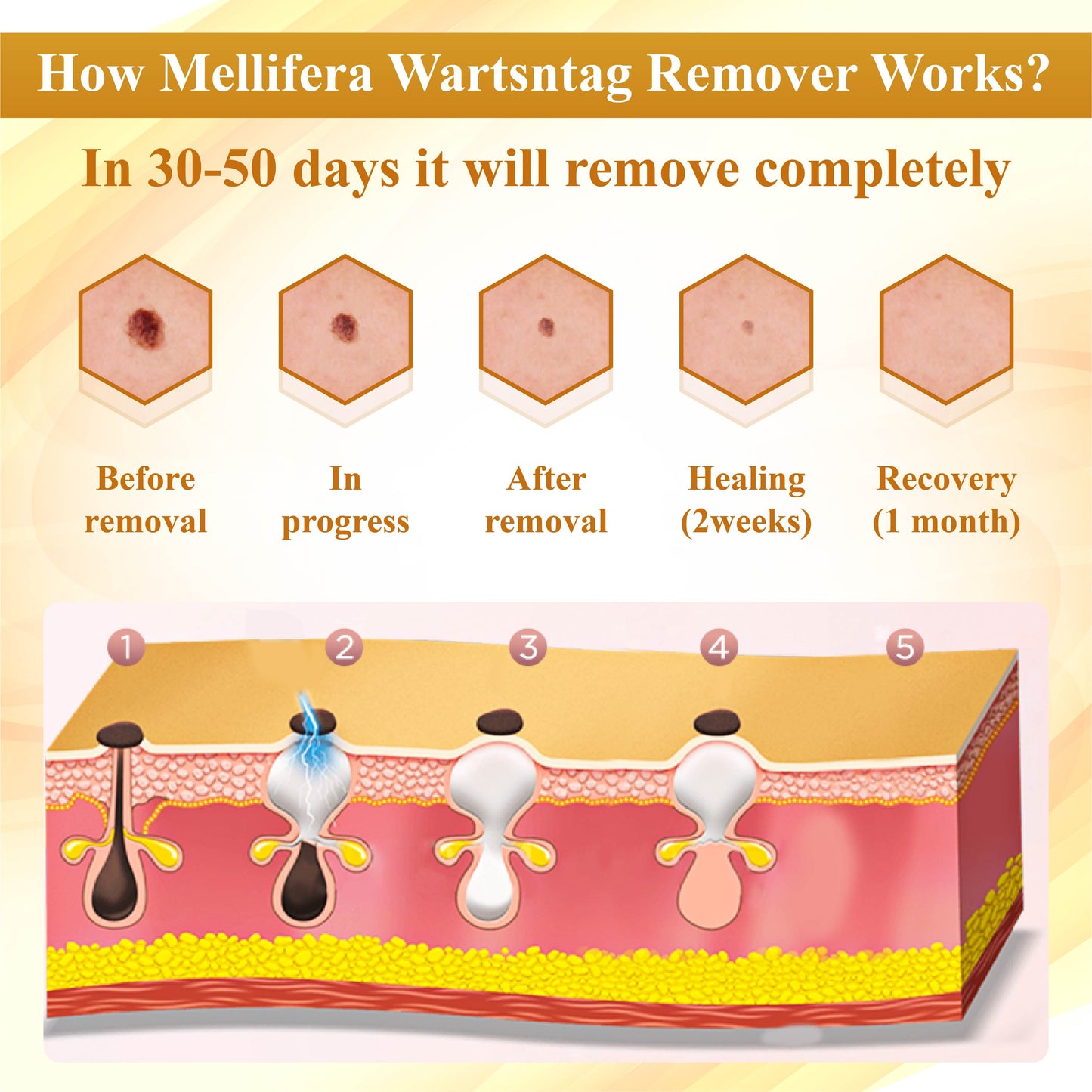 ATTDX™ Mellifera Venom Skin Repairing Cream