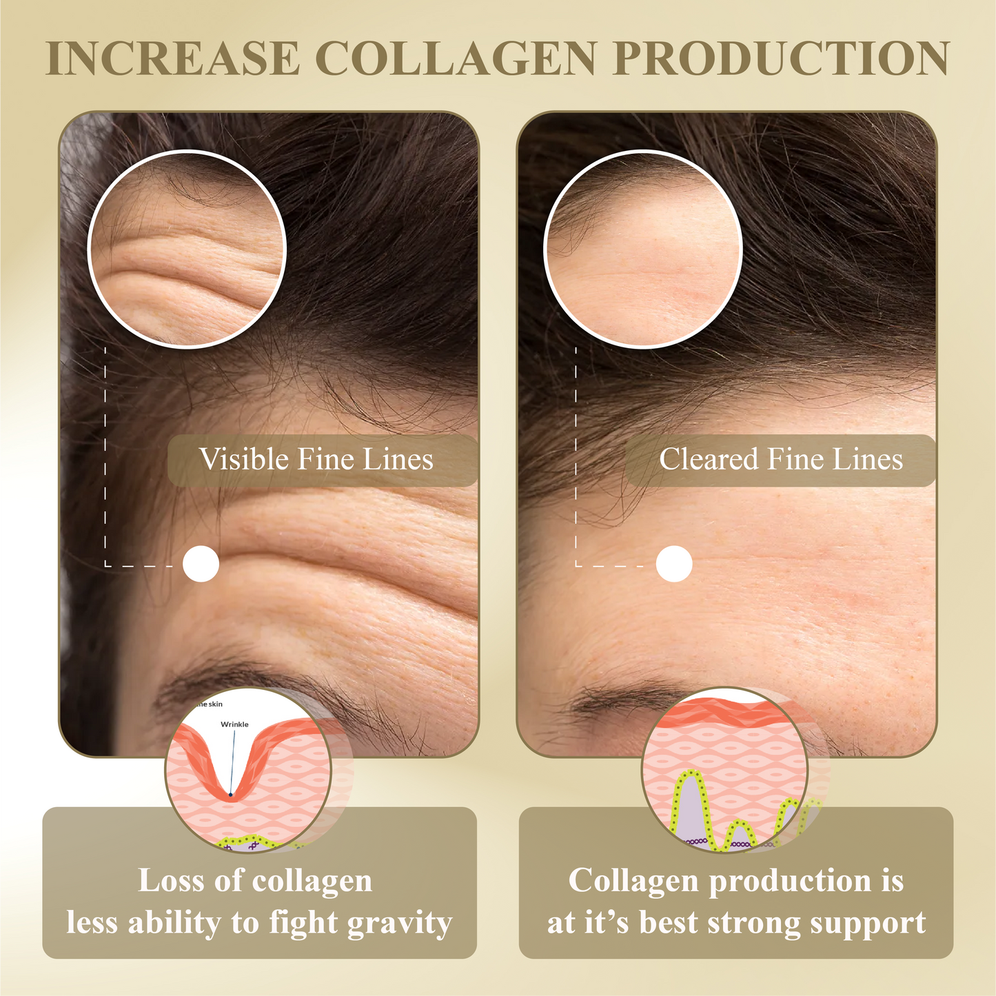 ATTDX™ Multi Collagen Pearls SkinFirming Cream