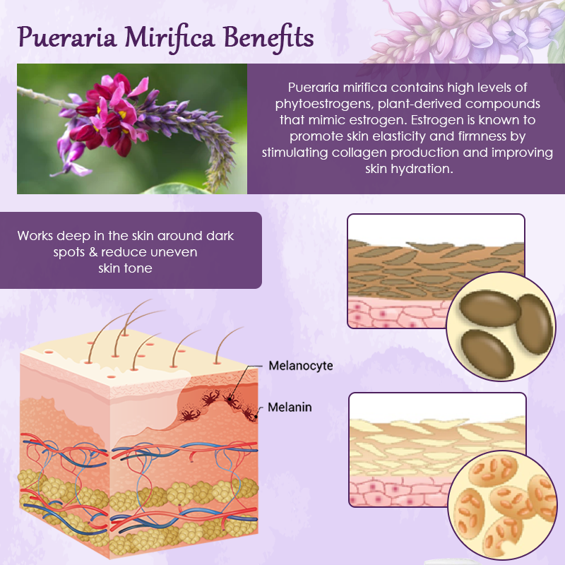 ATTDX™ Pueraria Flower Hydration SkinFirming Cream