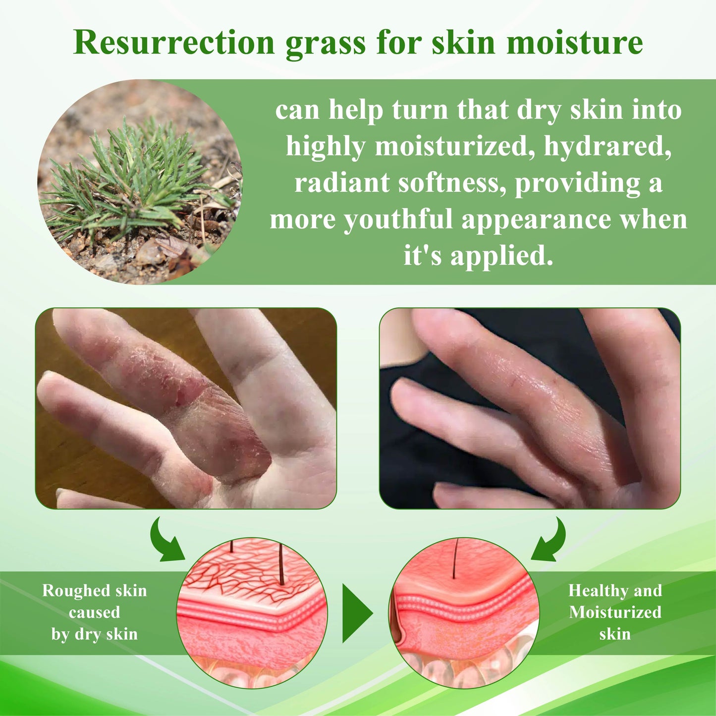 ATTDX™ Resurrection Grass Skin Soothing Herbal Cream
