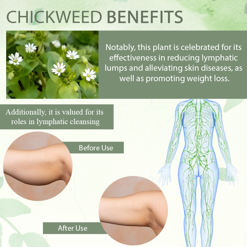 ATTDX™ Wild Chickweed SkinRepair Balm