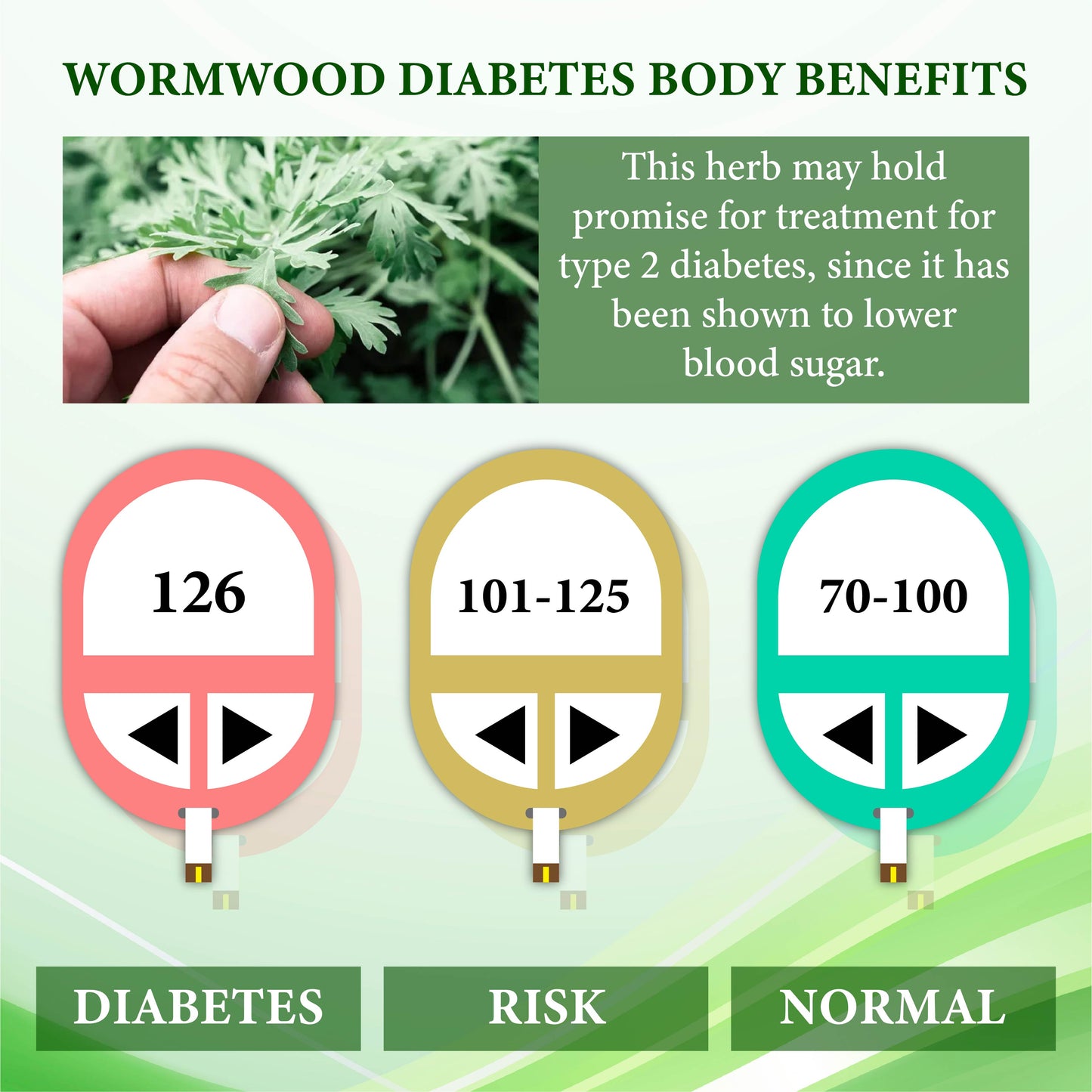 Wormwood BloodControl Ease Patch