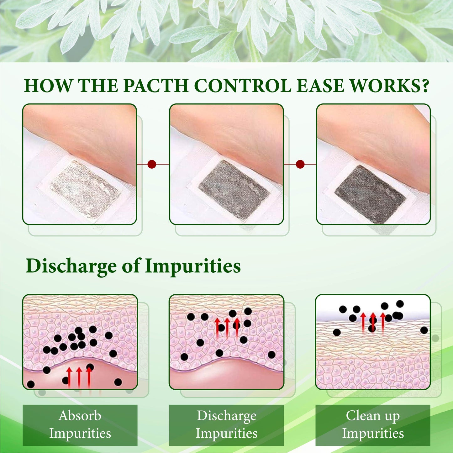 Wormwood BloodControl Ease Patch