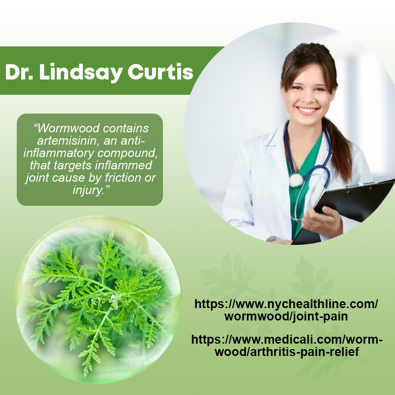 Wormwood ComfortJoint Herbal Patches