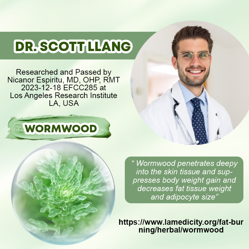 Wormwood SculptFirm Slimming Cream