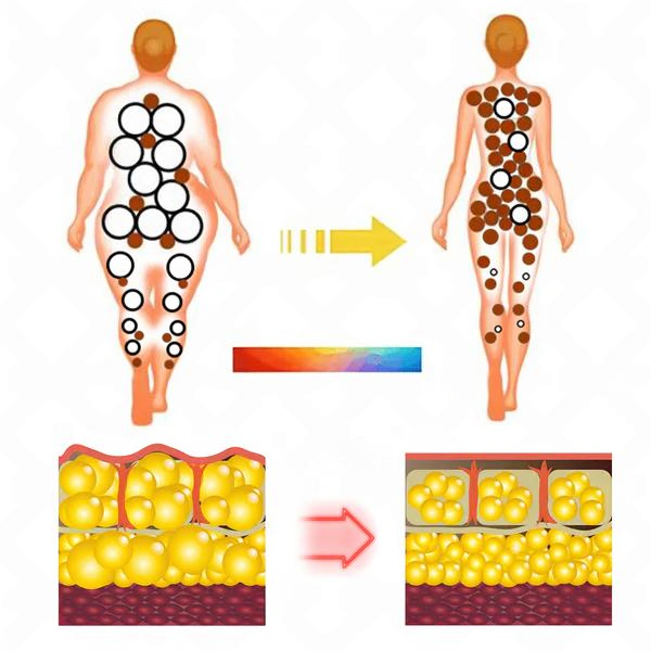 DetoxFlow⢠Portable LymphaticDetox And Joint Relaxation Therapy Device