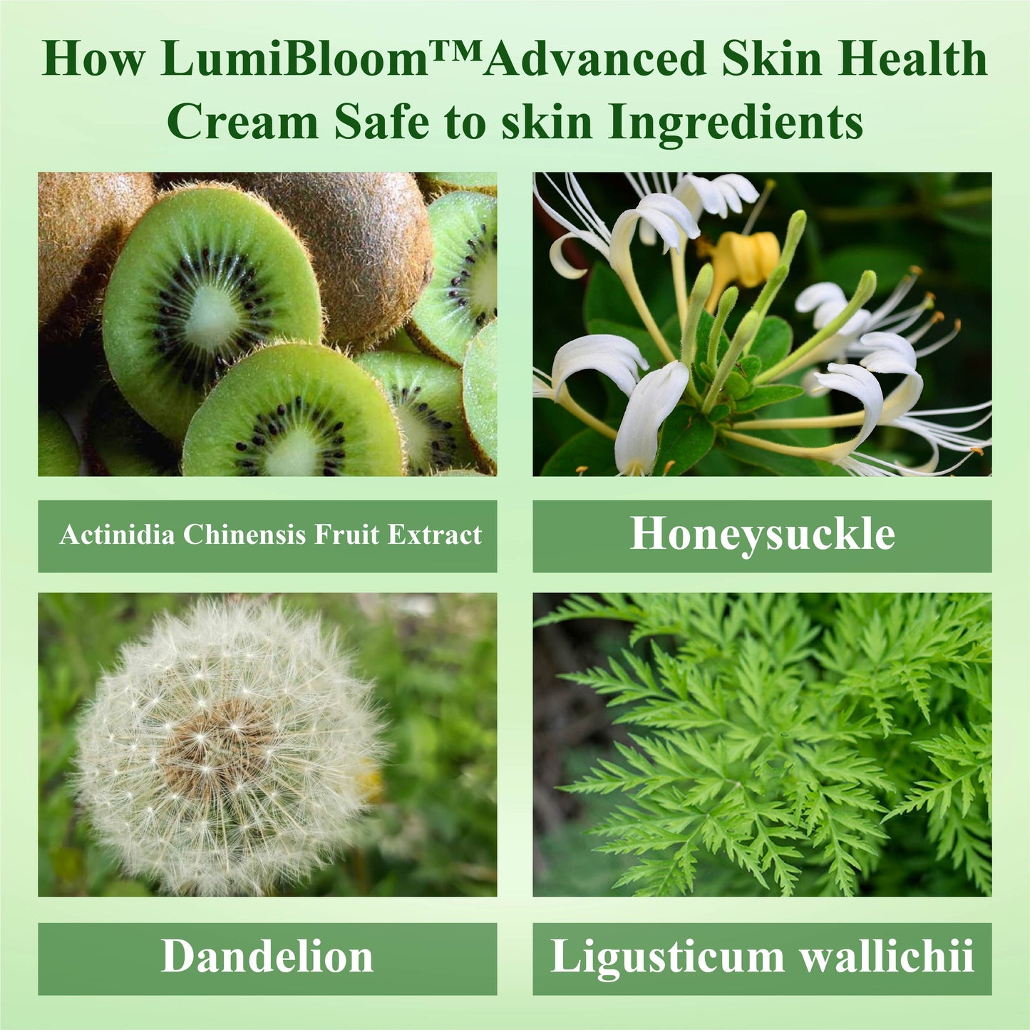 LumiBloom™ Advanced Skin Health Cream