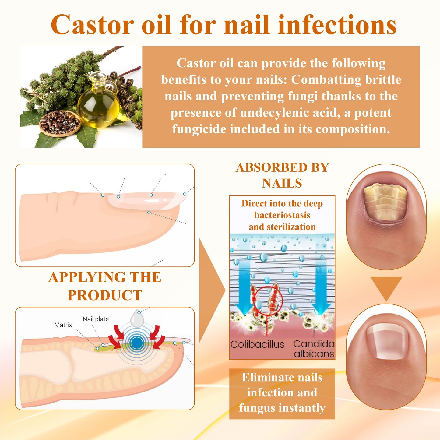 ATTDX™ AntiFungal Mellifera Venom Repair Serum