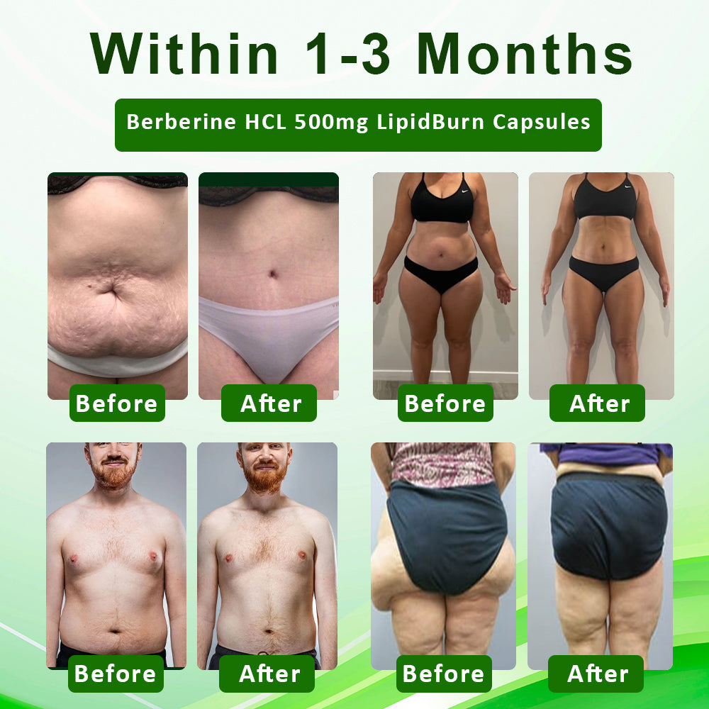 ATTDX™ Berberine HCL 500mg LipidBurn Capsules