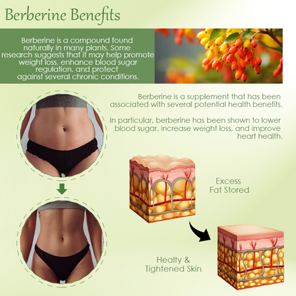 ATTDX™ Berberine LipidBurn AdvancedFirming Cream