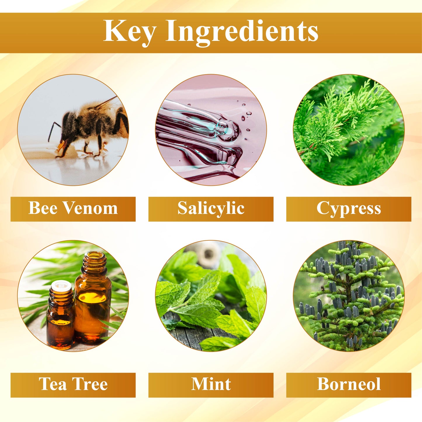 ATTDX™ Mellifera Venom Skin Repairing Cream