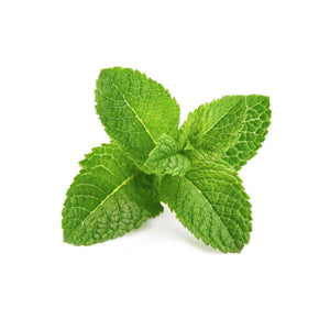 Menthol 9afe3a14 9370 4615 8b50 cb15dd3b91cc